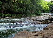 Yough River Trout fishing